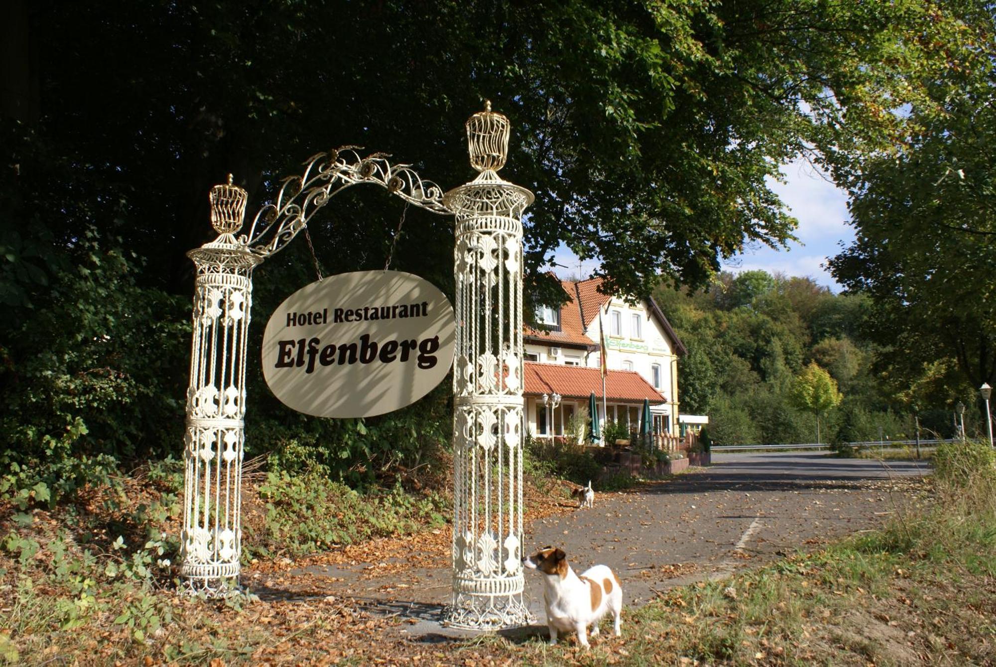 Hotel Elfenberg Schieder-Schwalenberg Ngoại thất bức ảnh